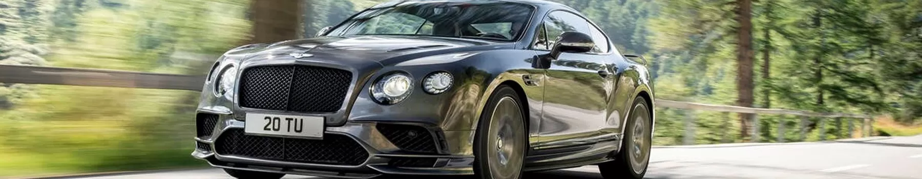 Shop OEM bentley 2016 bentley All Models  Touch Up Paint Touch Up Paint