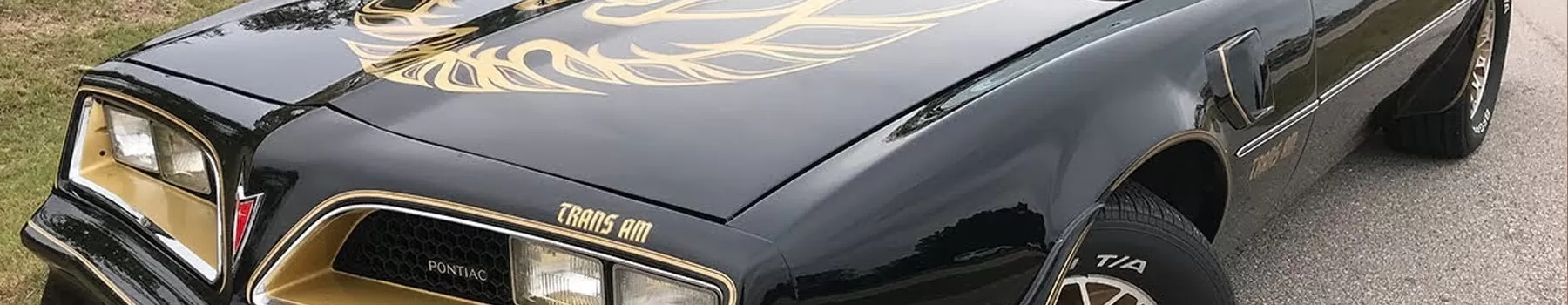 Shop OEM pontiac pontiac Grand Prix  Touch Up Paint Touch Up Paint