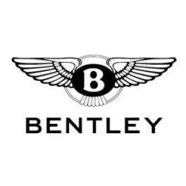 Bentley Glacier White LA9B Touch-Up Paint