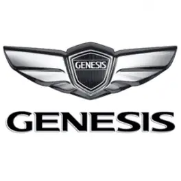 Genesis Barossa Burgundy Metallic BJM Touch-Up Paint