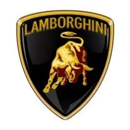 lamborghini Touch Up Paint