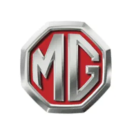 mg Touch Up Paint