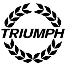 Triumph Black PMA Touch-Up Paint